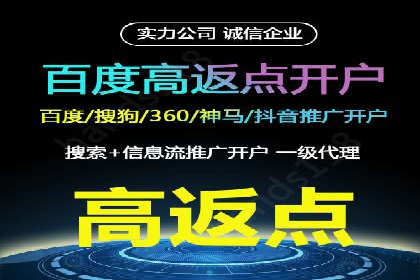 成功企业SEM竞价代运营案例研究
